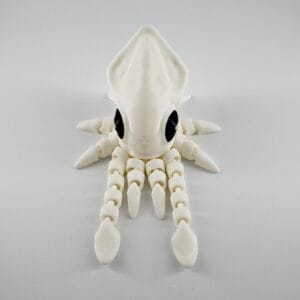Articulated Squid