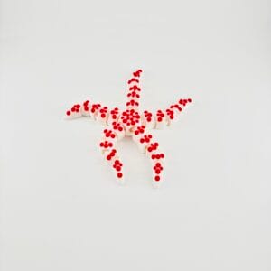 Articulated Starfish