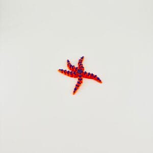 Articulated Starfish (Small)